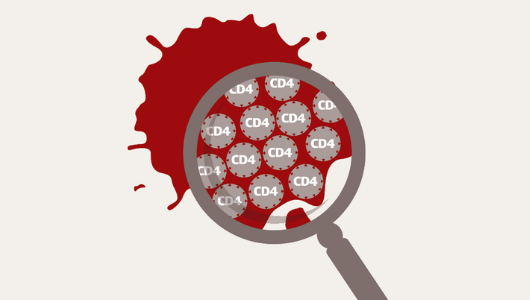 CD4