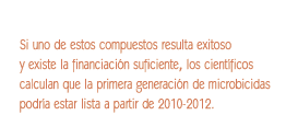 Imagen: Destacado de texto