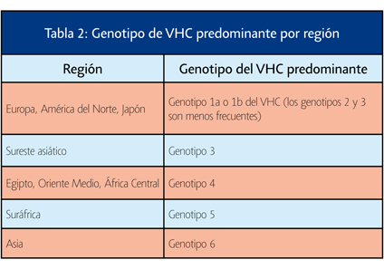 Que Detecta Vhc Pruebas y seguimiento del VHC - gTt-VIH