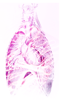 Imagen: Tuberculosis