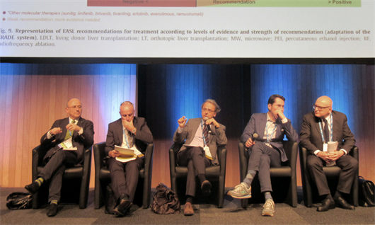 El panel de expertos de EASL sobre cáncer hepático respondiendo preguntas en el Congreso Internacional del Hígado, 2018. Foto: Liz Highleyman.