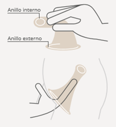 Preservativo interno