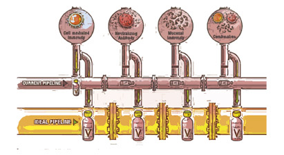 Ilustración: pipeline ideal
