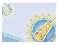 Ilustración: Virus VIH