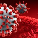 virus y celula