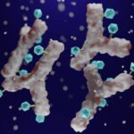 Anticuerpos. Anticuerpos ampliamente neutralizantes. Foto: Freepik