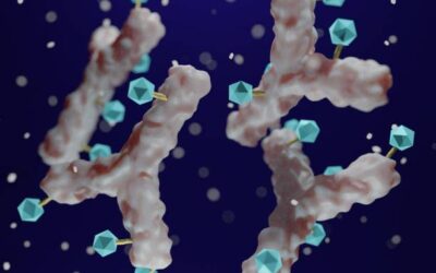 El anticuerpo 04_A06 bloquea casi todas las variantes del VIH en estudios preclínicos