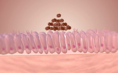 Buenos resultados del antibiótico oral gepotidacina frente a la gonorrea