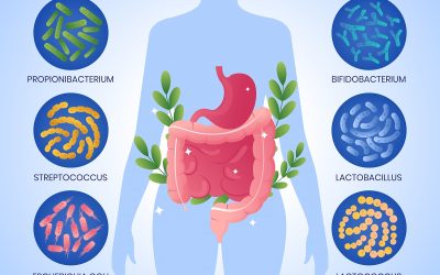 El VIH y sus tratamientos afectarían de manera distinta al microbioma intestinal de las personas según su ubicación geográfica