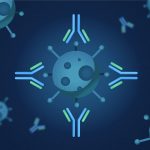 Anticuerpos. Imagen: Freepik