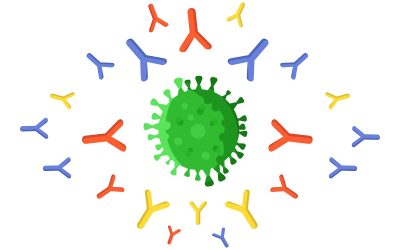 CROI 2026: Anticuerpos neutralizantes retrasan el rebote del VIH en un ensayo de cura