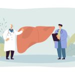 Hígado. Imagen: Freepik