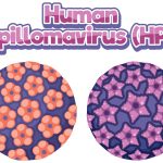 Virus del papiloma humano. Imagen: Magnific