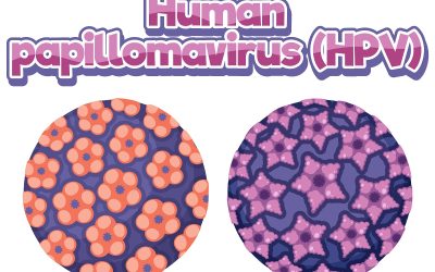 Un buen control del VIH también podría ayudar a reducir el riesgo de algunos cánceres relacionados con el VPH